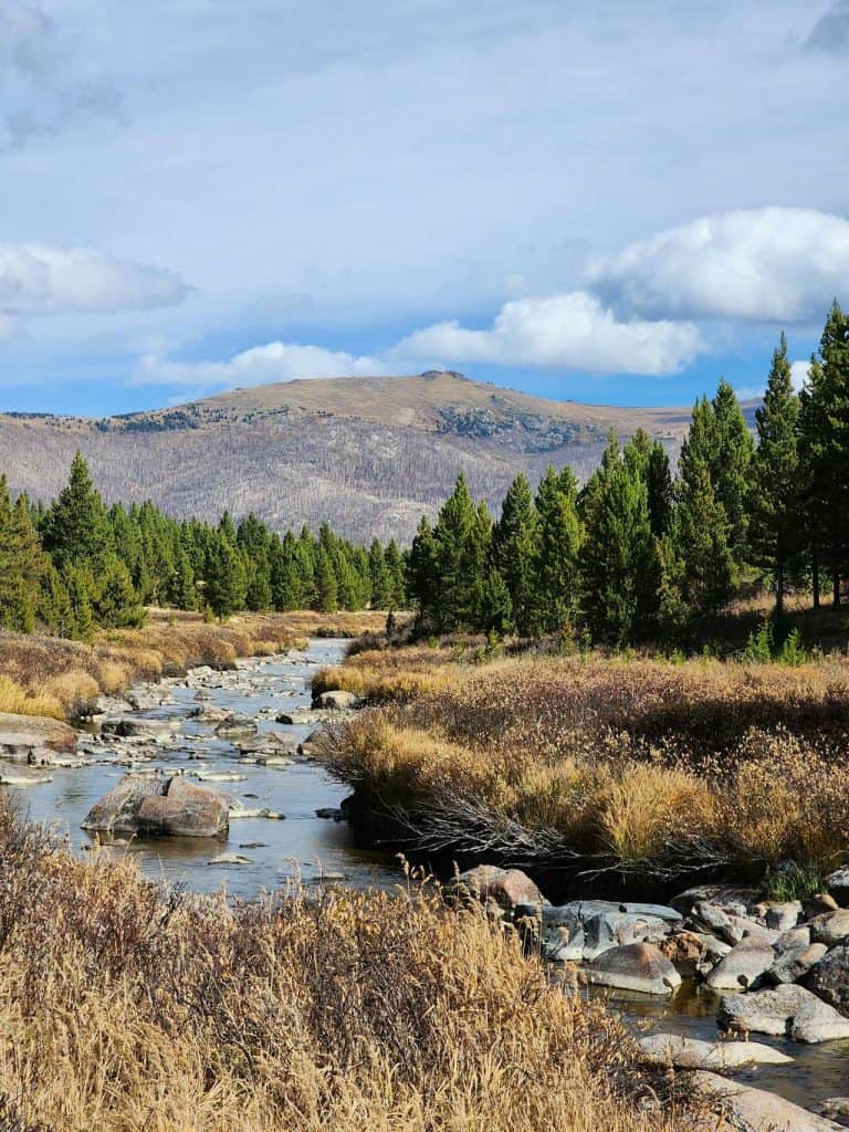 Scenic Mountain Landscape with River and Trees Beautiful mountain landscape featuring a flowing river, lush green trees, and distant hills under a cloudy6 sky.
